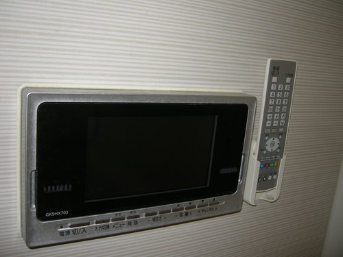 Other. Bathroom TV (with DVD playback function)