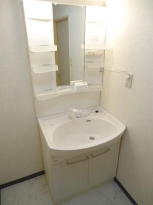 Washroom. Already new goods exchange in 2009 Shampoo dresser