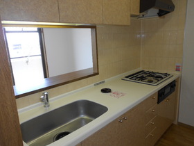 Kitchen. Spacious 3-neck system kitchen sink