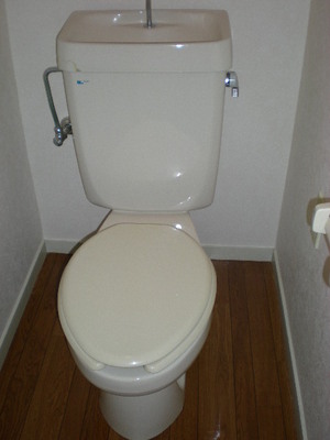 Toilet.  ※ 301, Room reference photograph