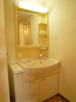Washroom. Popular shampoo dresser