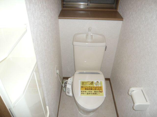 Toilet. Renovation to new