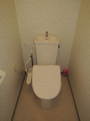 Toilet. With warm water washing toilet seat