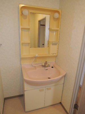 Washroom. Popular shampoo dresser