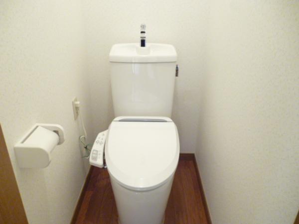 Toilet. With once the second floor toilet new cleaning toilet seat