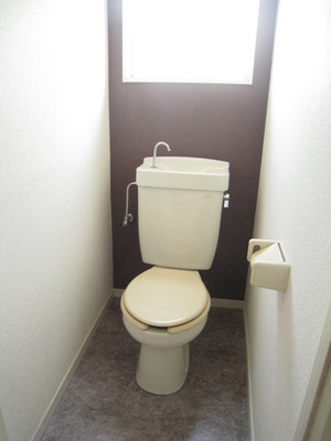 Toilet. It is fashionable accent Cross of Brown