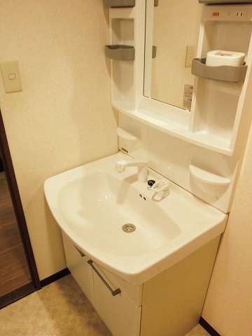 Washroom. Washbasin with shower