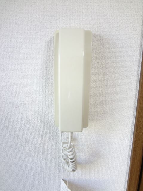 Other. It is intercom.
