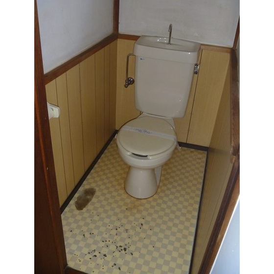 Toilet