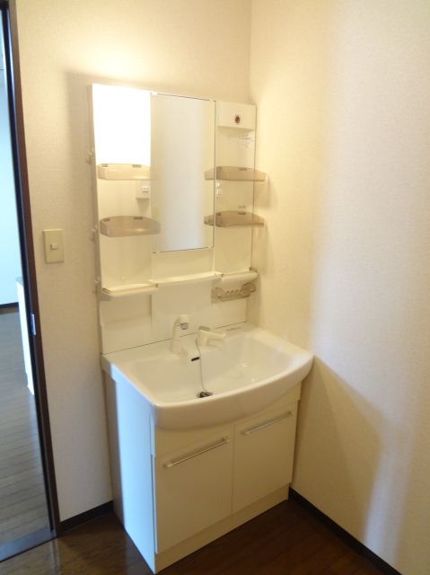 Washroom. Washbasin with a shampoo dresser