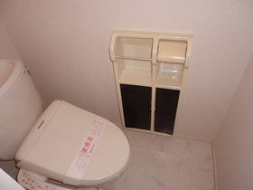 Toilet. With cleaning toilet seat