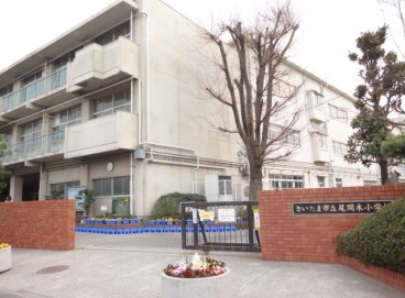 Primary school. 721m to Saitama City Oma tree elementary school (elementary school)
