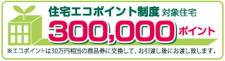Other.  [Housing eco-point system object (300,000 points)] The property is, Meet the criteria set by the country, Residential eco-point system target housing.  ※ Eco-point it will be given after the exchange to your delivery to 300,000 yen worth of gift certificates.  ※ conditions ・ Restricted. Please contact us for more details.