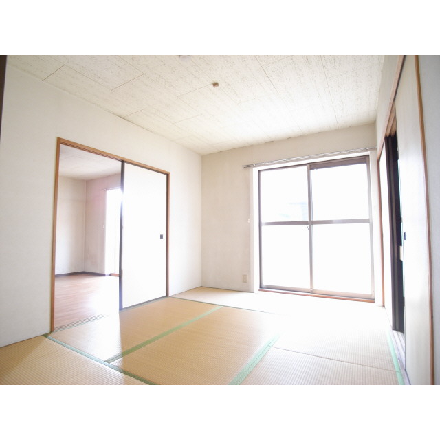 Other room space. Japanese style room