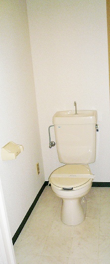Toilet. Indoor reference photograph