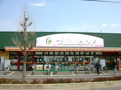 Supermarket. Tsurukame 440m to land (Super)