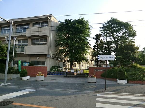 Primary school. 460m to Saitama City Oma tree Small