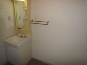 Washroom. Wash room with a separate wash basin