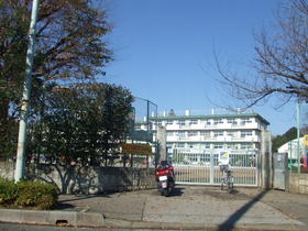 Primary school. 800m up to three-chamber elementary school (elementary school)