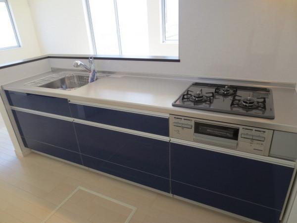 Kitchen. Popular open face-to-face kitchen adopted