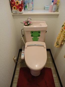 Toilet. Indoor (12 May 2012) shooting