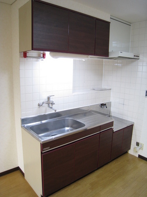 Kitchen. Easy cooking with gas stove installation Allowed