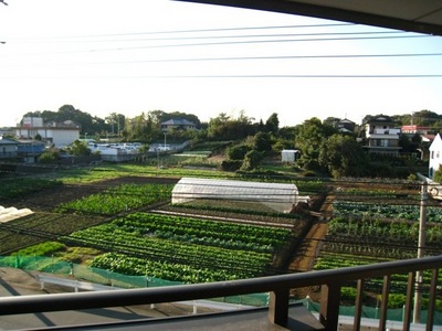 View. Is the peaceful spread the field in front of the eyes