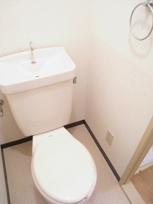 Toilet. There is convenient towel hanger and some
