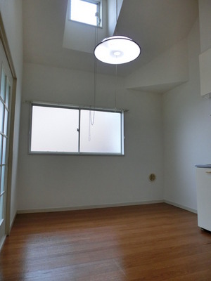 Living and room. Bright if there is a kitchen part skylight