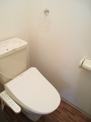 Toilet. With certain and convenient Washlet