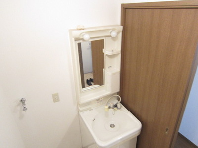 Washroom. Shampoo dresser with