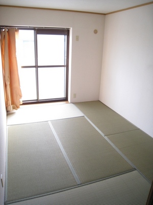 Living and room. Bright Japanese-style room facing the balcony