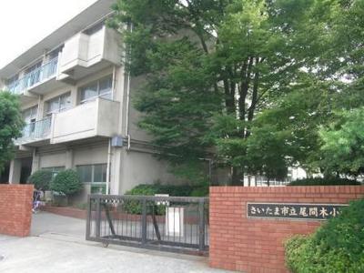 Primary school. 503m to Saitama City Oma tree elementary school (elementary school)