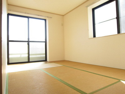 Living and room. Bright two-sided lighting Japanese-style room