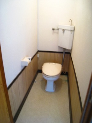 Toilet. Of depth is the toilet!
