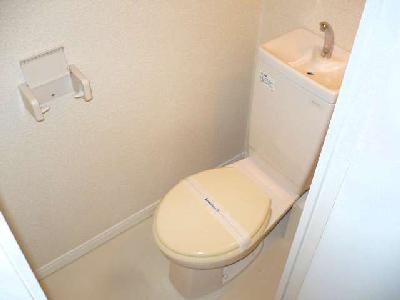 Toilet. Western-style flush toilet