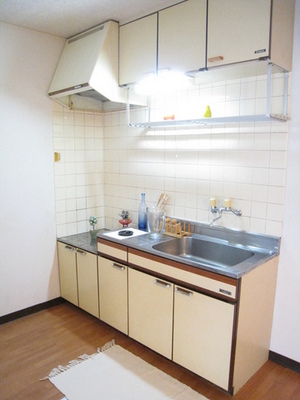 Kitchen. Easy cooking with gas stove installation Allowed