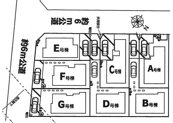 The entire compartment Figure