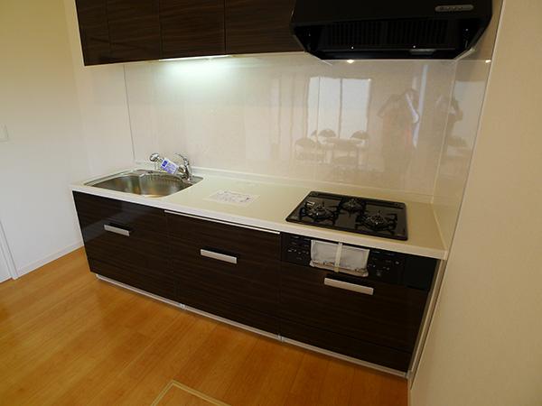 Kitchen. Convenient floor with storage of kitchen Indoor (July 2013) Shooting D Building