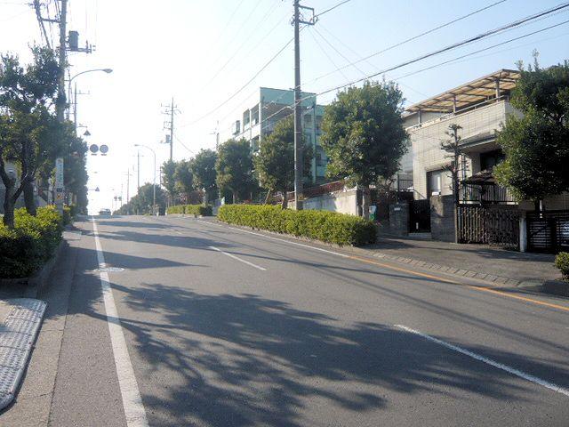 Local photos, including front road. Southeast side of the road