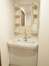 Washroom. Washbasin shampoo dresser