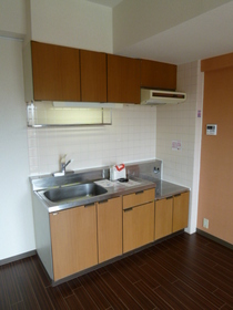 Kitchen. Kitchen with gas stove of your choice is put