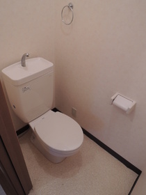 Toilet. It is spacious toilet. 