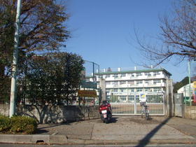Primary school. 550m up to three-chamber elementary school (elementary school)