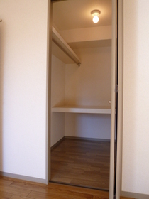 Other. Walk-in closet with a storage capacity