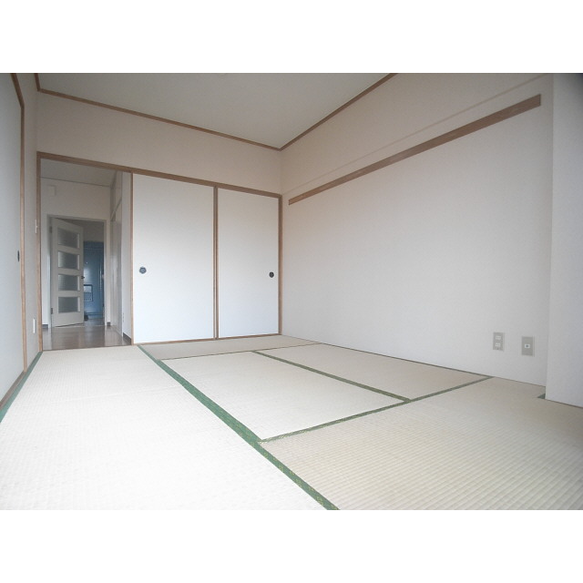 Other room space. Japanese style room