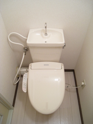 Toilet. New hot water cleaning function with toilet