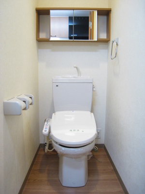 Toilet. Storage shelves and towel rails are happy toilet