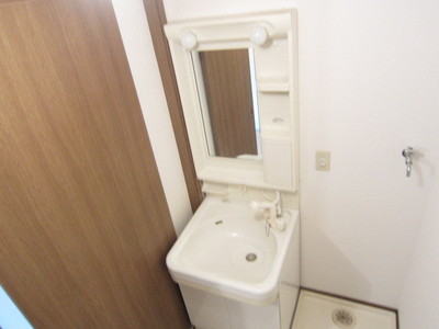 Washroom. Functional wash basin