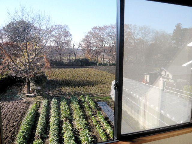 View photos from the dwelling unit. The view from the second floor Japanese-style room